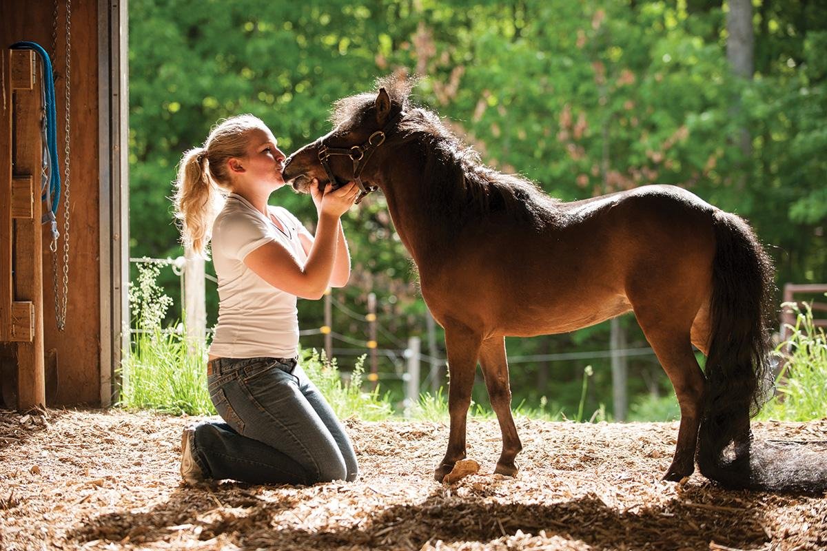 horse.jpg66fb039d46cd7 - Dream About Miniature Horse – Symbolism and Significance