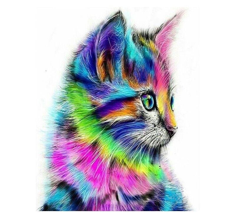 l1200.jpg66f7b9a7edebf - Dream About Rainbow Cat – Exploring the Meaning