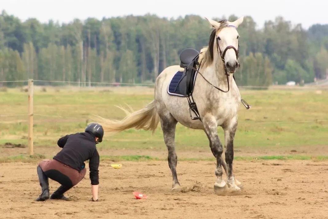 off 2 - Dream About Falling Off A Horse – Spiritual and Psychological Insights