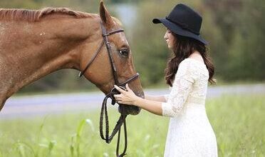 Dream About Petting Horse – Spiritual and Psychological Insights