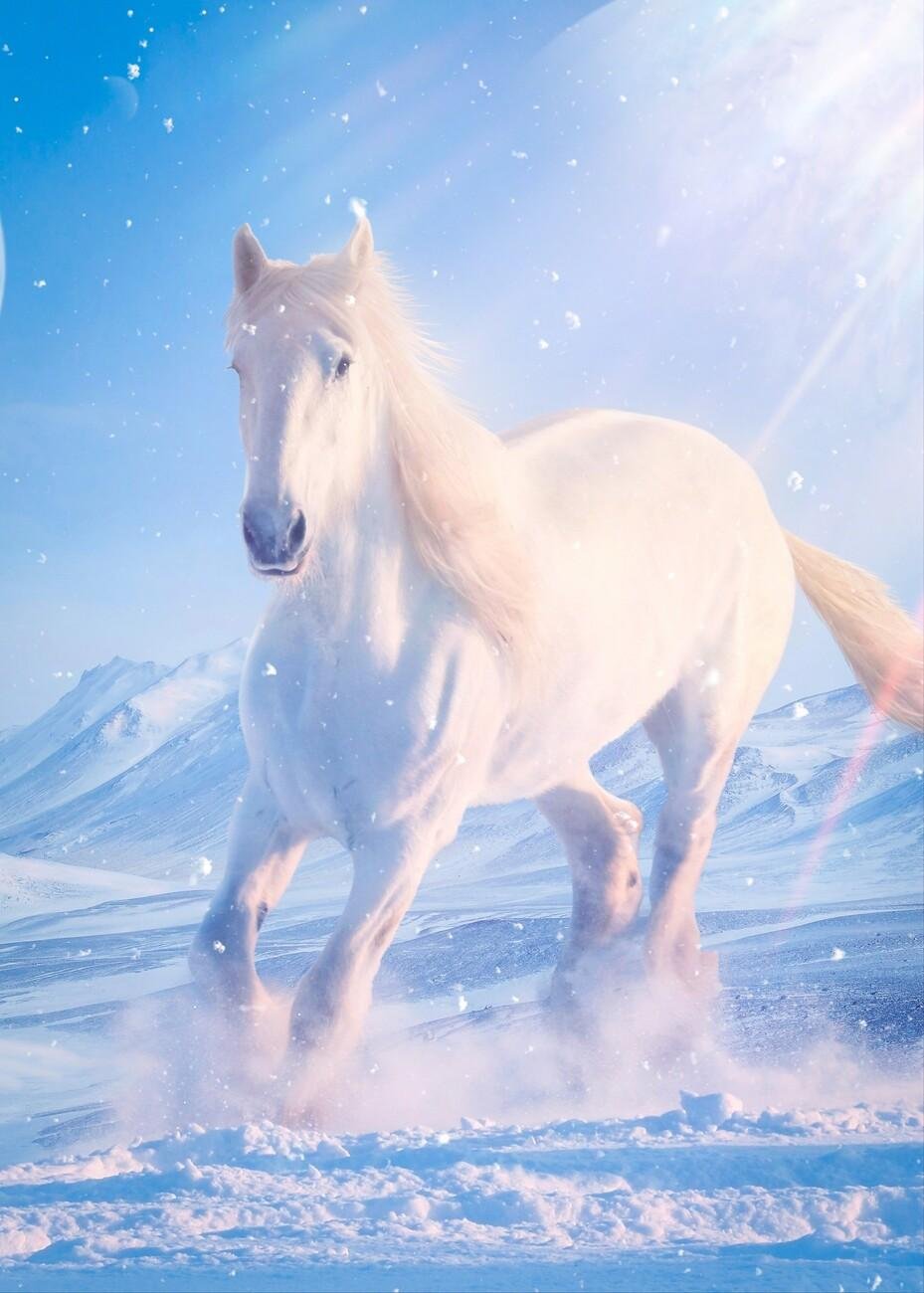 163263 - Dream About White Horse Running Away – Causes and Interpretations