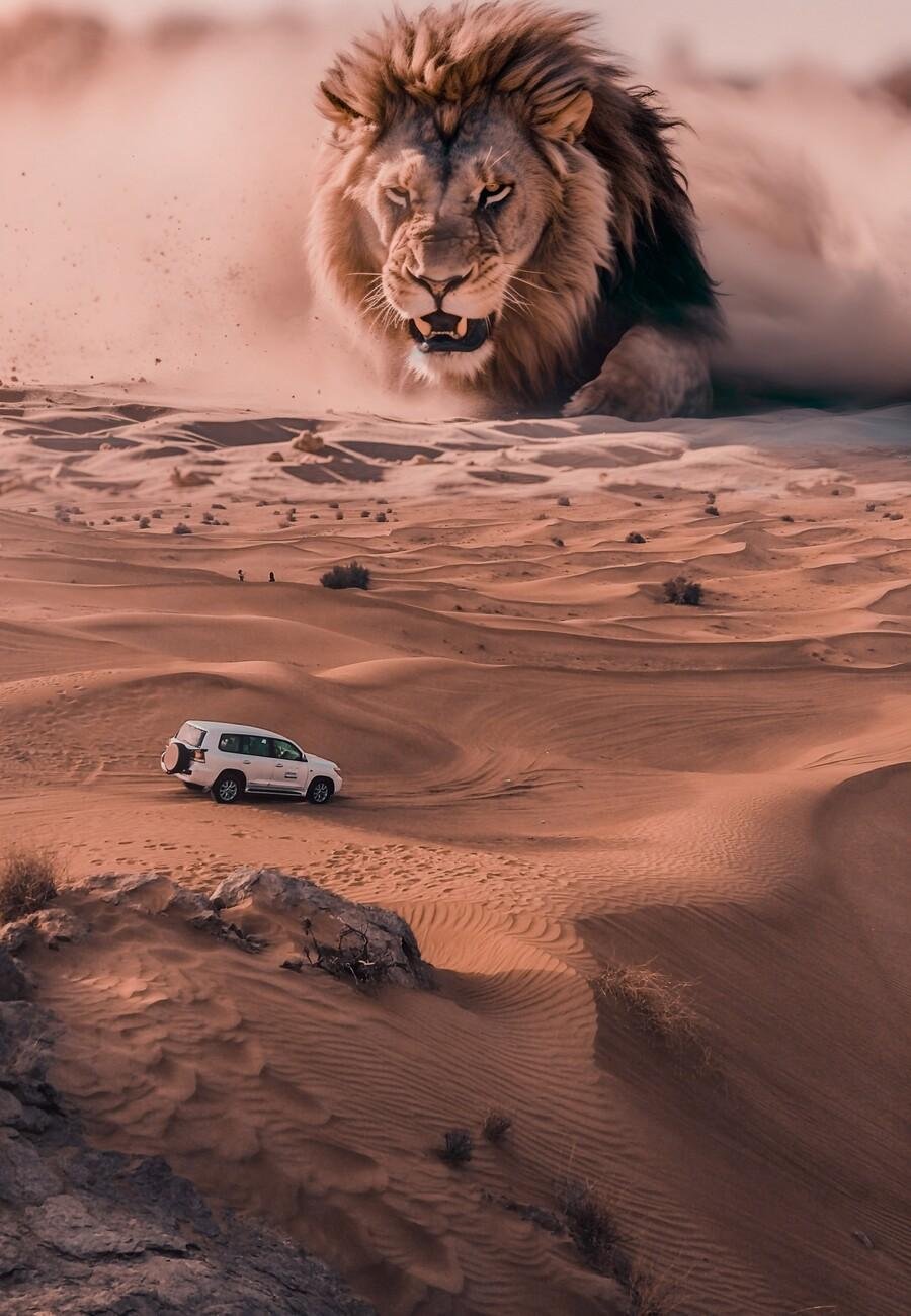 171261.jpg66faaf8e3a2a2 - Dream About Giant Lions – Analysis and Explanation