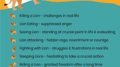 Dream About Killing A Lion – Symbolism and Significance