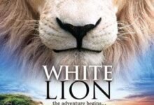 2126 dream about white lion chasing you hidden messages and insights 220x150 - Dream About Getting Chased By A Lion – Exploring the Meaning