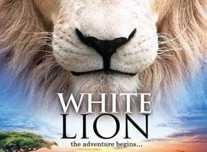 Dream About White Lion Chasing You – Hidden Messages and Insights