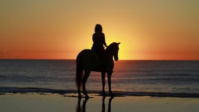 Dream About Riding A Horse Fast – Hidden Messages and Insights