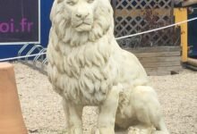 2266 dream about lion statue decoding the message 220x150 - Dream About A Friendly Lion – Symbolism and Significance