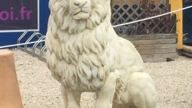 Dream About Lion Statue – Decoding the Message