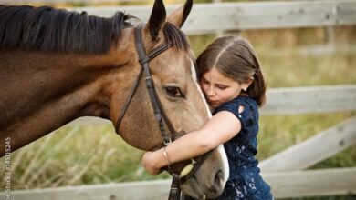 Dream About Hugging A Horse – Understanding Its Implications