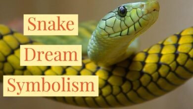 Dream About Leopard Snake – Exploring the Meaning