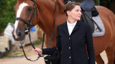 Dream About Horse Riding – Decoding the Message