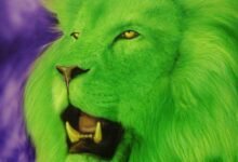 429 dream about a green lion decoding the message 220x150 - Dream About Lions Following Me – Exploring the Meaning