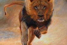 523 dream about a running lion symbolism and significance 220x150 - Dream About Being Eaten By A Lion – Understanding Its Implications