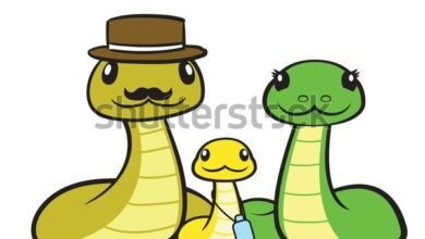 Dream About Snake Family – Symbolism and Significance