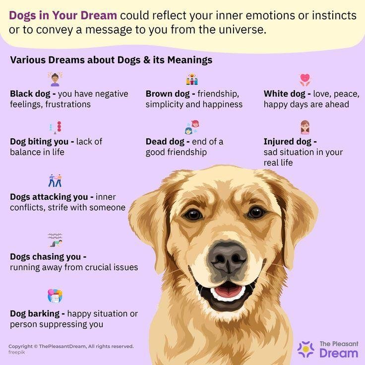 5d0dfe - Dream About Dog Spiritual Meaning – What It Could Indicate