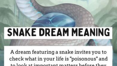 Dream About Snake And Turtle – Hidden Messages and Insights