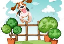 947 dream of dog jumping over fence what it could indicate 220x150 - Dream About Dog Walking On Two Legs – Spiritual and Psychological Insights