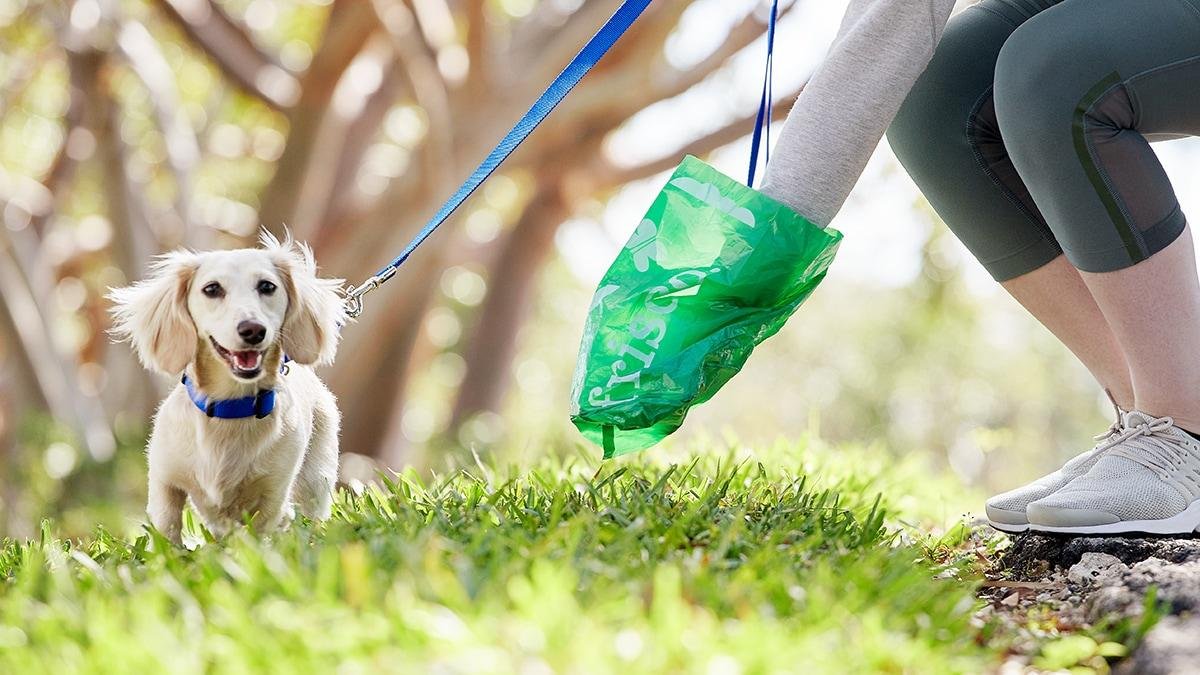 9978 1 - Dream About Cleaning Dog Poop – Analysis and Explanation