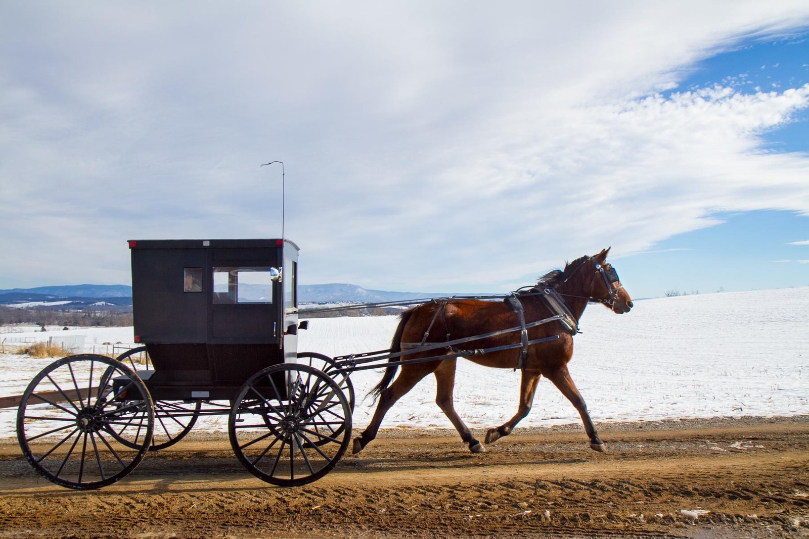 Buggy2 - Dream About Horse And Buggy – What It Could Indicate