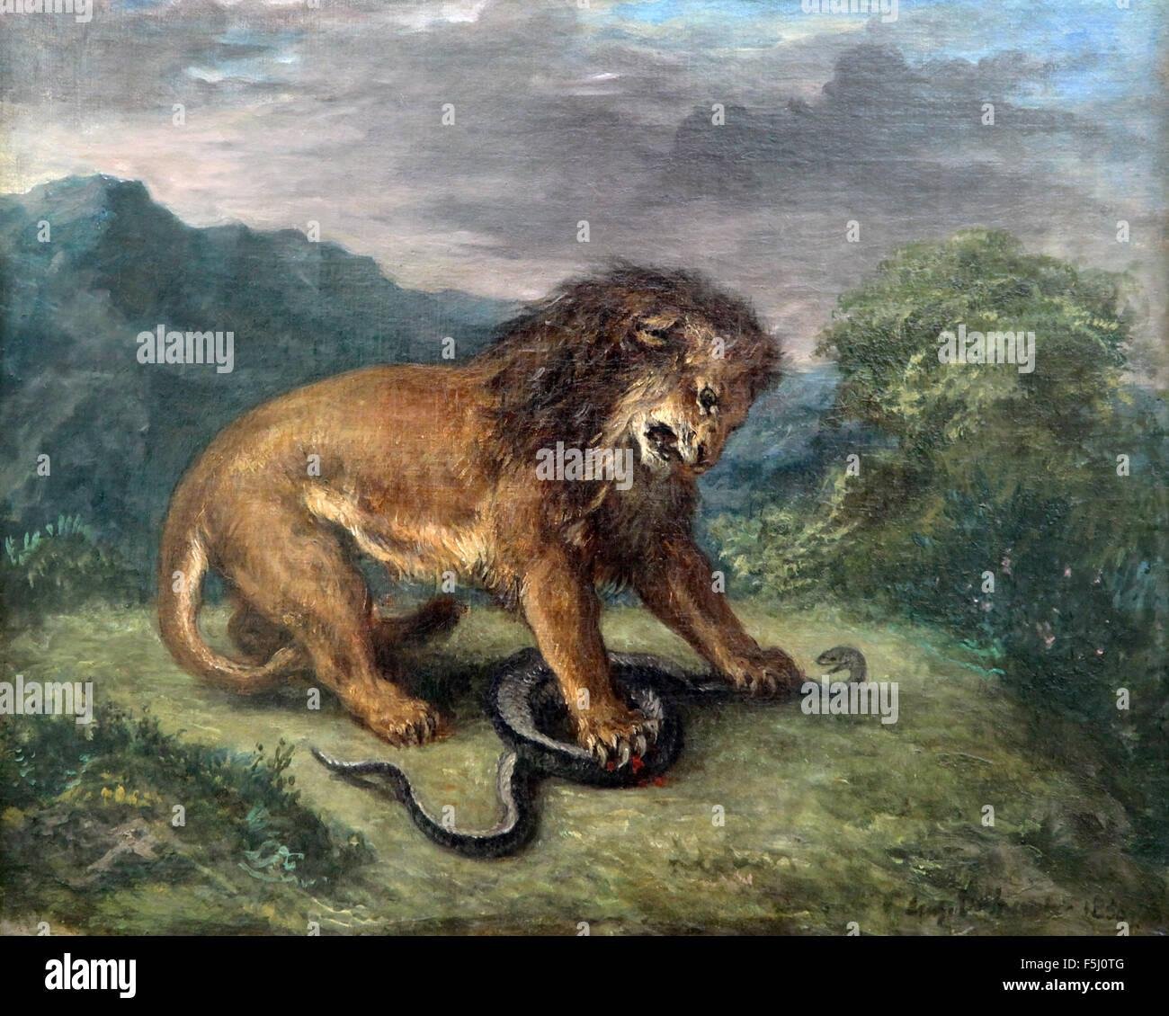 F5J0TG - Dream About Lion Eating Snake – Exploring the Meaning