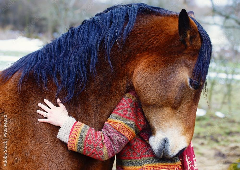 GbiOpz - Dream About Cuddling A Horse – Spiritual and Psychological Insights