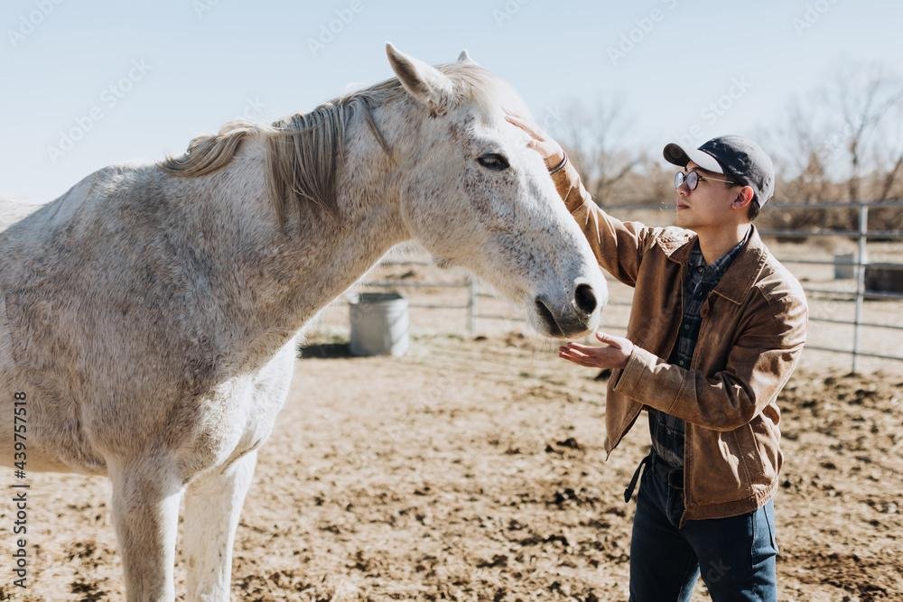 LSJ6Lv - Dream About Petting Horse – Spiritual and Psychological Insights