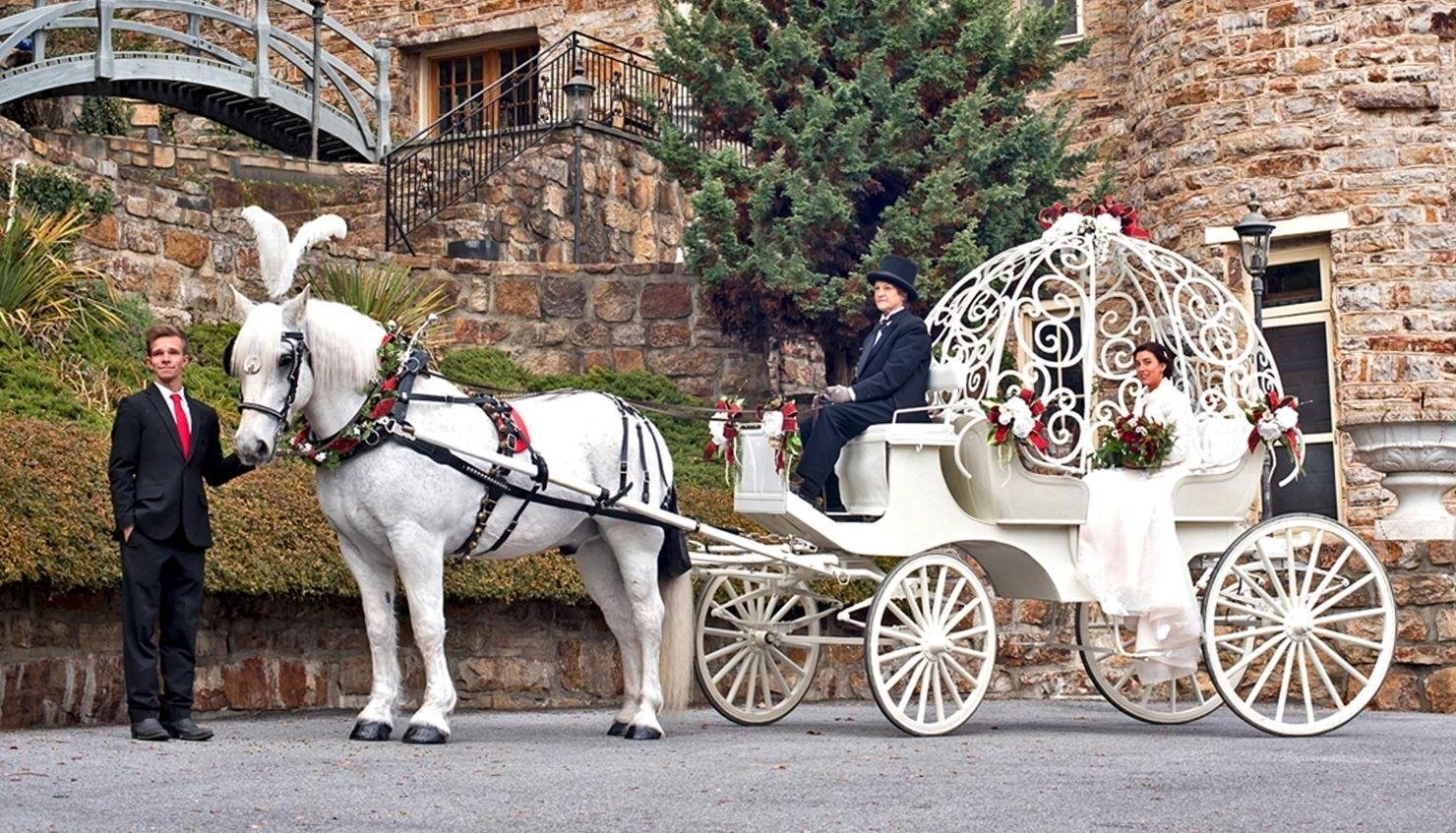 Larger - Dream About Horse And Carriage – Symbolism and Significance