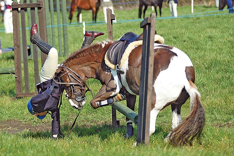web - Dream About Falling Off A Horse – Spiritual and Psychological Insights