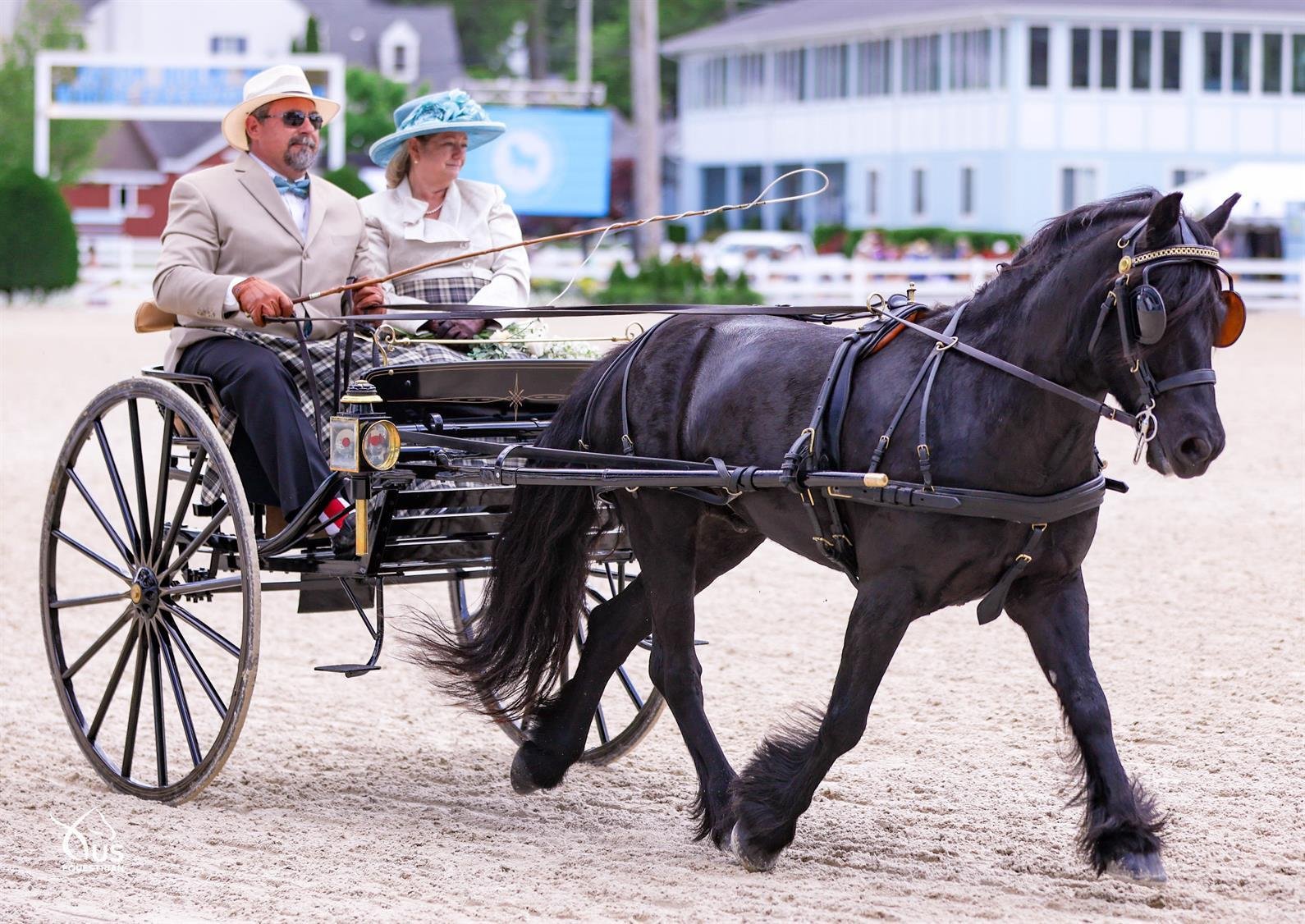 large - Dream About Horse And Carriage – Symbolism and Significance