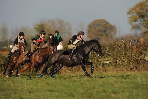 asing4 - Dream About Horse Chasing Me – Hidden Messages and Insights