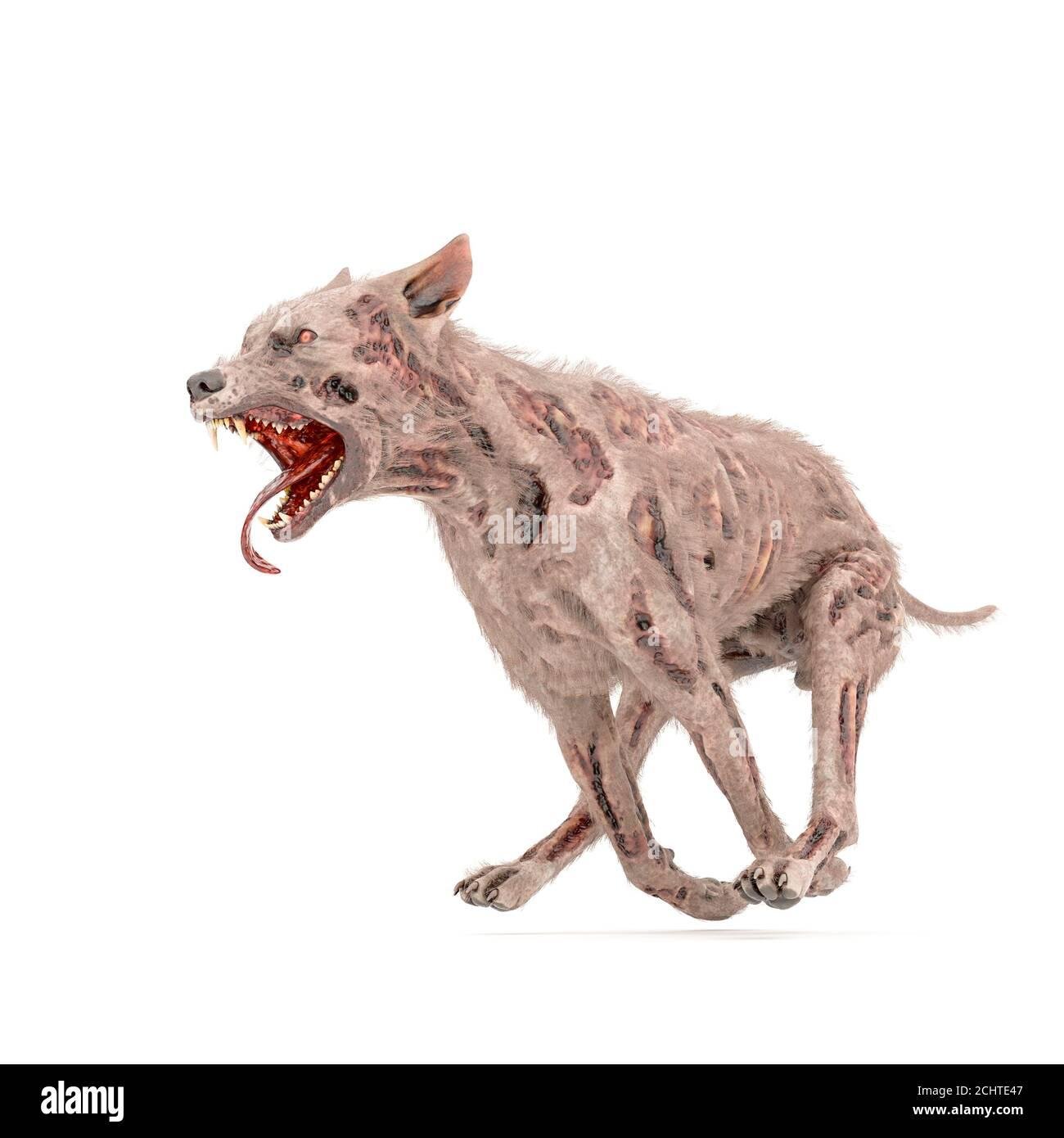 chte47 - Dream About Zombie Dog – Symbolism and Significance