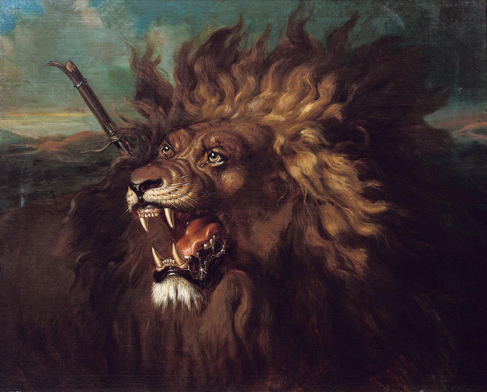 d Lion - Dream About A Wounded Lion – Exploring the Meaning