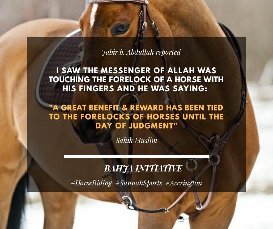 ding 1 - Dream About Riding A Horse In Islam – Hidden Messages and Insights