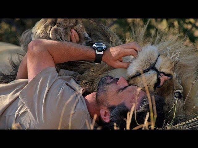 efault.jpg66f184871a9ff - Dream About Cuddling A Lion – Analysis and Explanation