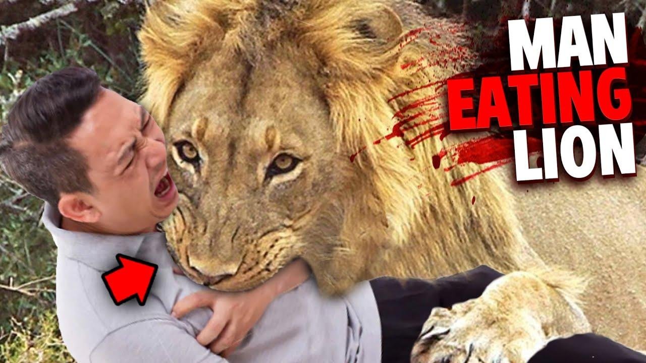 efault.jpg66f89c23a6346 - Dream About A Lion Eating A Person – Analysis and Explanation