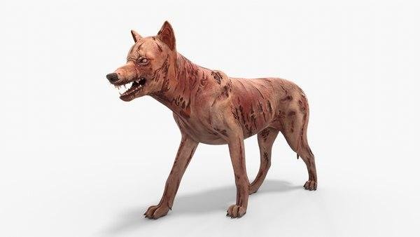 img 1 - Dream About Zombie Dog – Symbolism and Significance