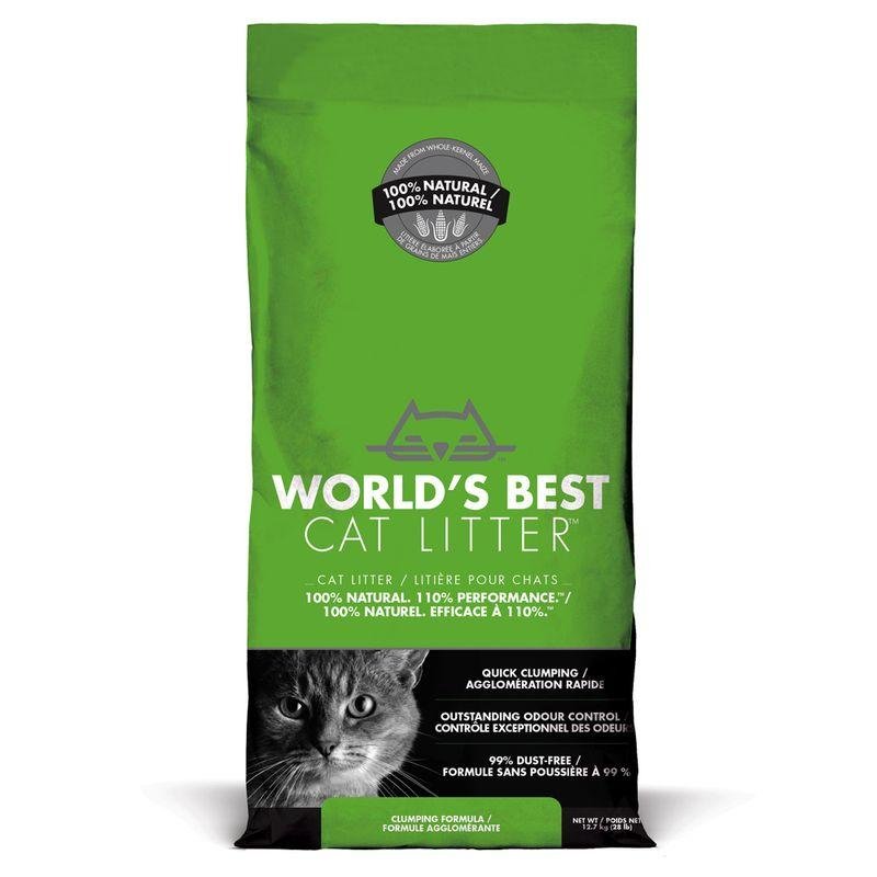 katz 8 - Dream About Cat Litter – Exploring the Meaning