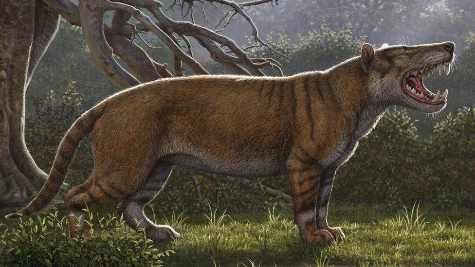 mammal - Dream About Giant Lions – Analysis and Explanation
