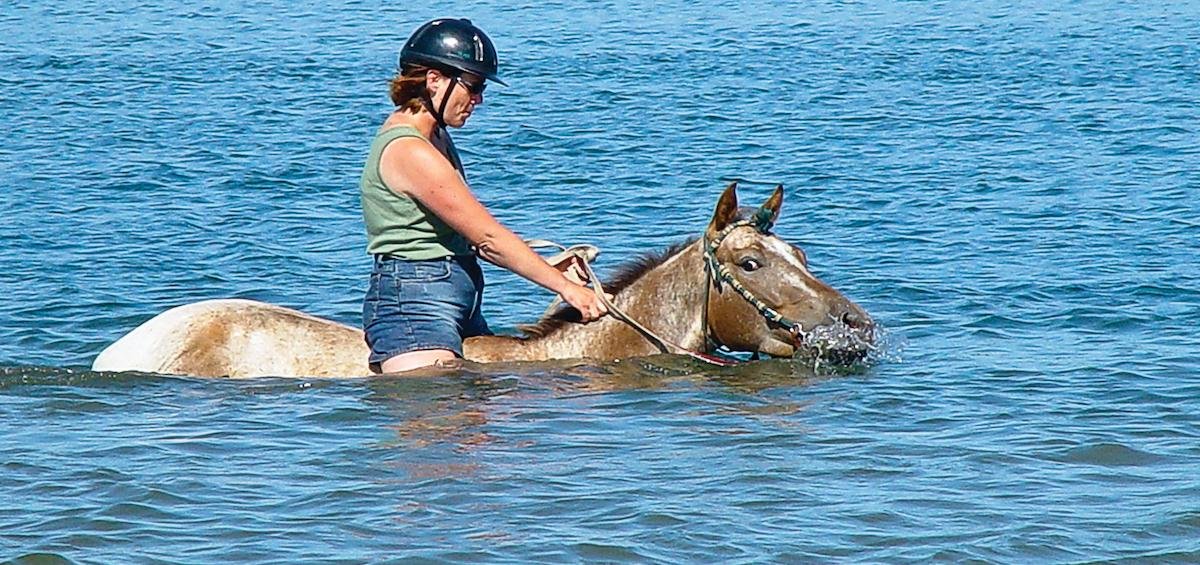 may120 - Dream About Horse Swimming – What It Could Indicate