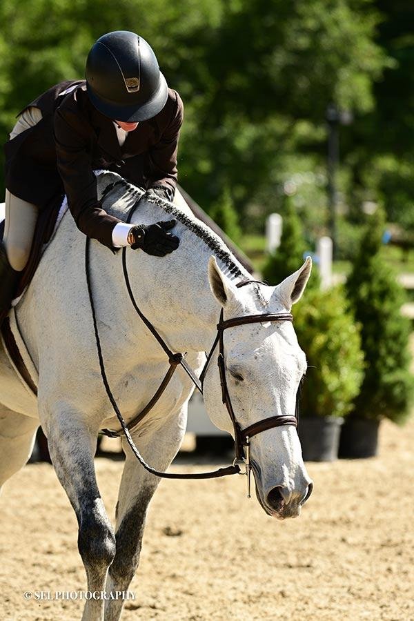 ntrol1 - Dream About Uncontrollable Horse – Exploring the Meaning