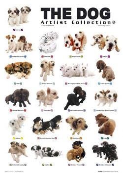 s i706 - Dream About Your Dog Having Puppies – Symbolism and Significance