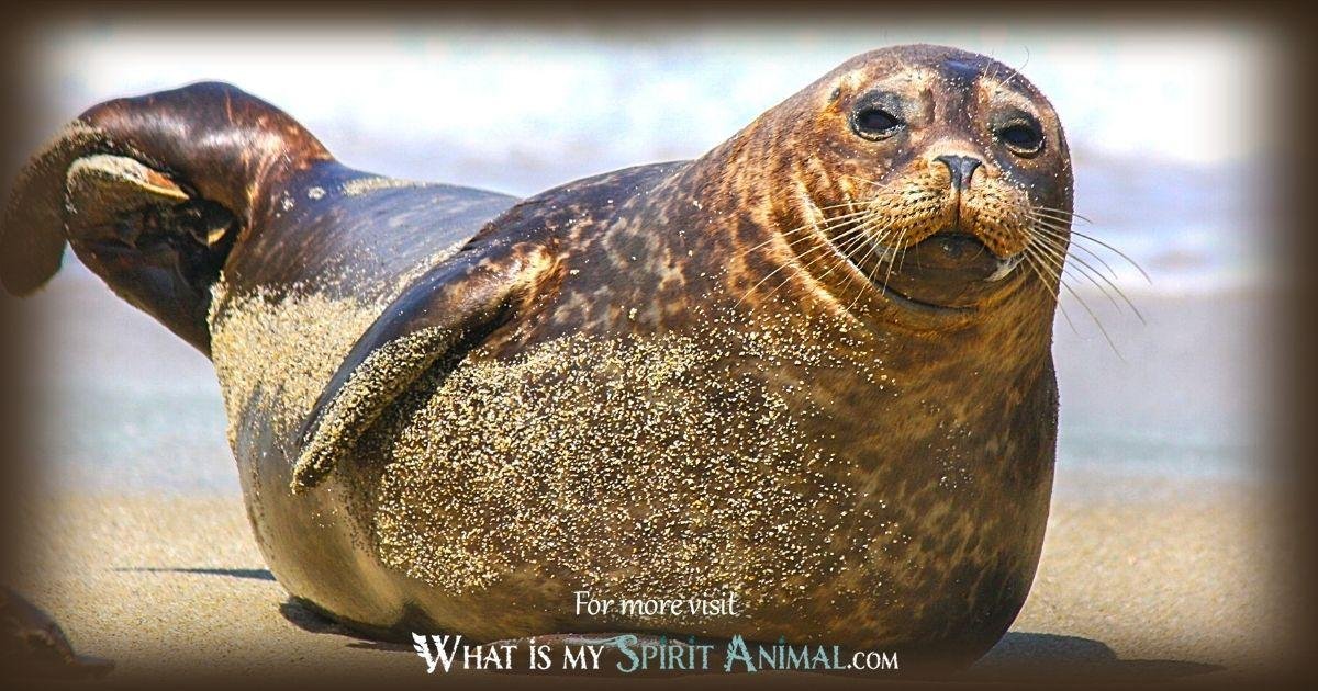 x630 1 - Dream About Sea Lion – Spiritual and Psychological Insights
