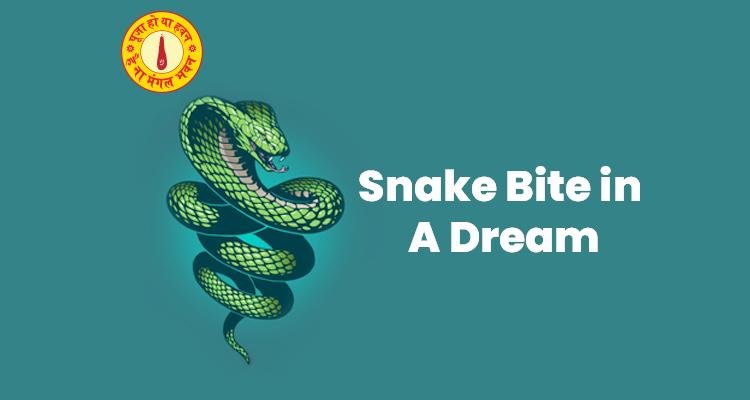 Dream.jpg6716bd4eddc2b - Dream About Snake Trying To Bite You – Decoding the Message