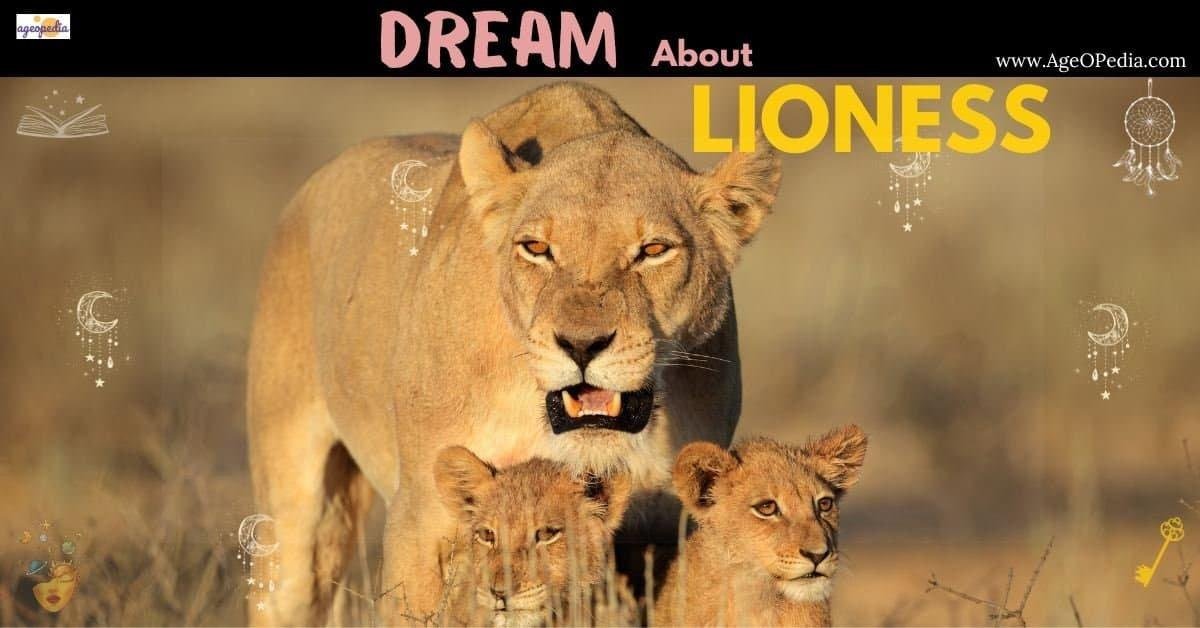 Large - Dream About Lioness – Causes and Interpretations