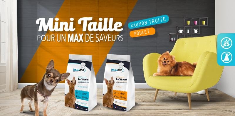Minis - Dream Dog Julien Clauzier — Wall – What It Could Indicate