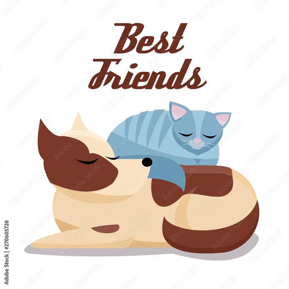 0tcGrN - Dream About Dog And Cat Together – What It Represents