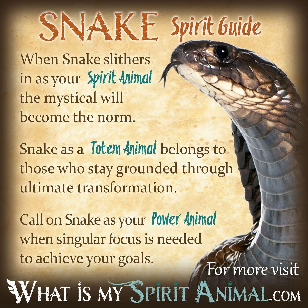 0x1200 - Dream About Snake Following You – Symbolism and Significance
