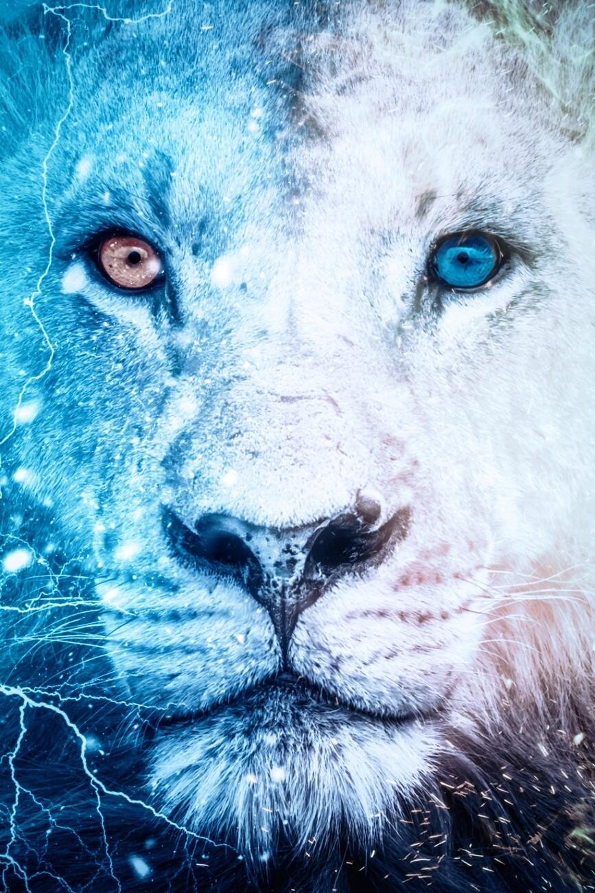 161525 - Dream About White Lion – Symbolism and Significance