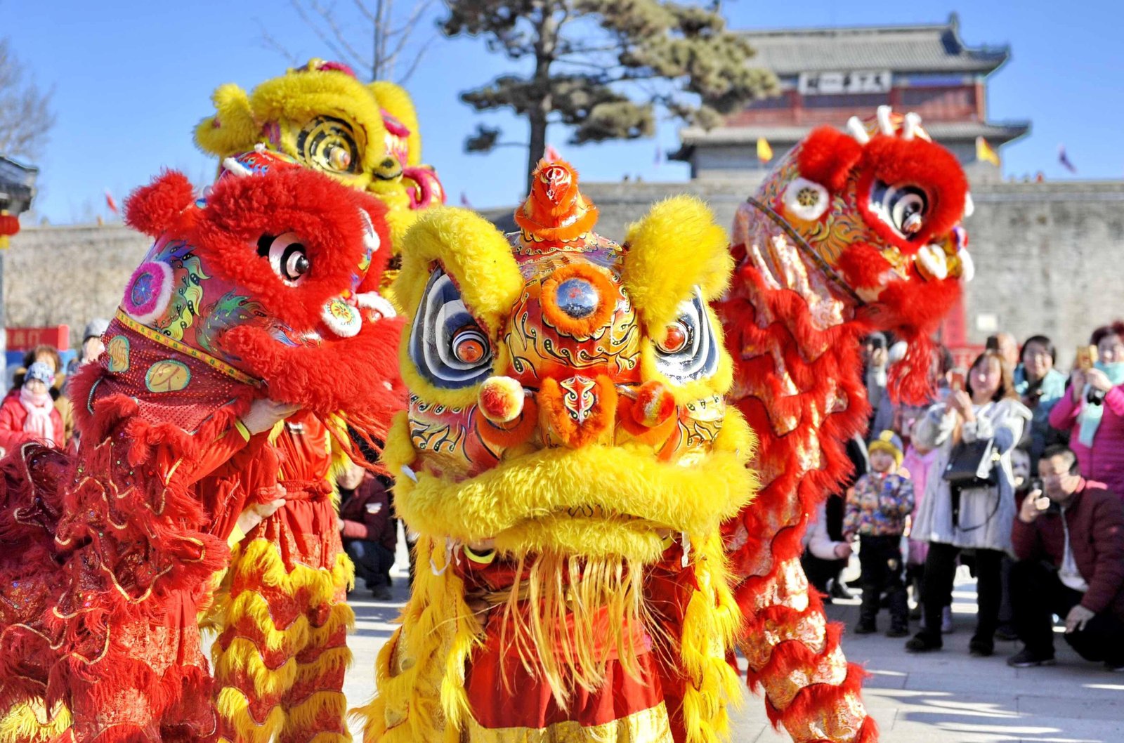 174833 - Dream About Lion Dance – Exploring the Meaning