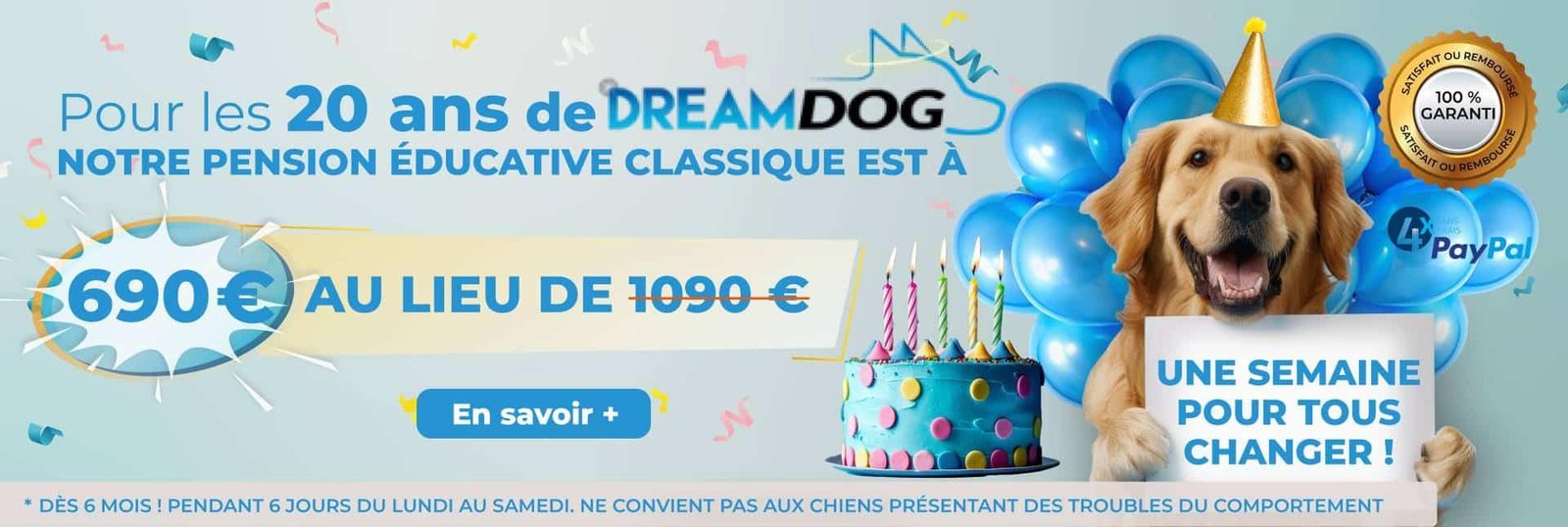 2 site - Dream Dog Julien Clauzier — Wall – What It Could Indicate